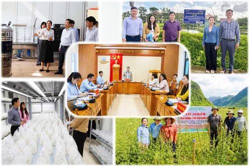 Giai đoạn 2021-2025, toàn tỉnh triển khai 229 nhiệm vụ khoa học-công nghệ các cấp - Ảnh: Sở KHCN
