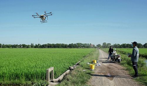 Ứng dụng drone vào phun thuốc bảo vệ thực vật cho lúa - Ảnh: L.A