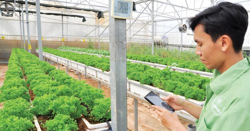 Giữa ý tưởng và thực tiễn triển khai startup vẫn còn khoảng cách lớn.