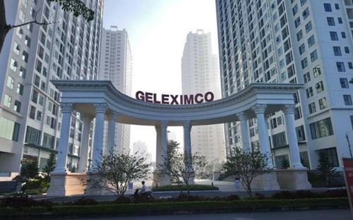 Geleximco muốn lấn sân sang lĩnh vực chăn nuôi.
