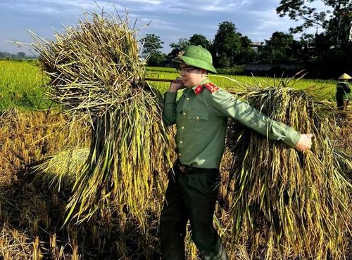 Công an xã Cẩm Tân giúp các hộ gia đình neo đơn, thiếu sức lao động thu hoạch lúa trước nguy cơ thời tiết chuyển xấu.