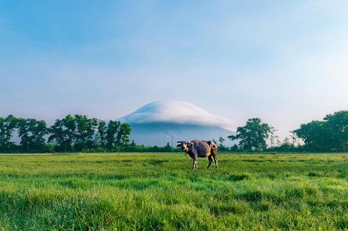  Khung cảnh mây nón ôm trọn đỉnh núi Bà Đen sáng 3/5. Ảnh: Trương Anh Tuấn. 