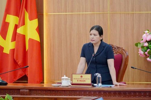 Phó Chủ tịch Thường trực UBND tỉnh Quảng Ngãi Y Ngọc phát biểu