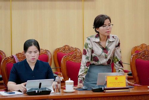 Giám đốc Sở VHTTDL tỉnh Quảng Ngãi Phạm Thị Trung báo cáo tại cuộc họp