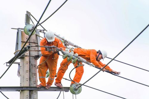 Nhân viên điện lực bảo trì, sửa chữa đường dây