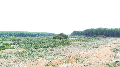  Khu đất bố trí tái định cư tại xã Ia Băng là diện tích bằng phẳng. Ảnh: HỮU PHÚC 