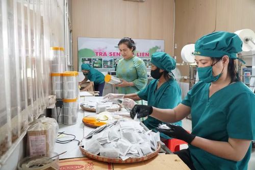 Xưởng sản xuất trà sen Kim Liên tại xóm Hoàng Trù, xã Kim Liên, Nghệ An. Ảnh: Hồ Lài
