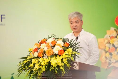 Nhà báo Trần Tuấn Linh - Tổng Biên tập Báo Sức khỏe và Đời sống. (Ảnh: PV/Vietnam+)