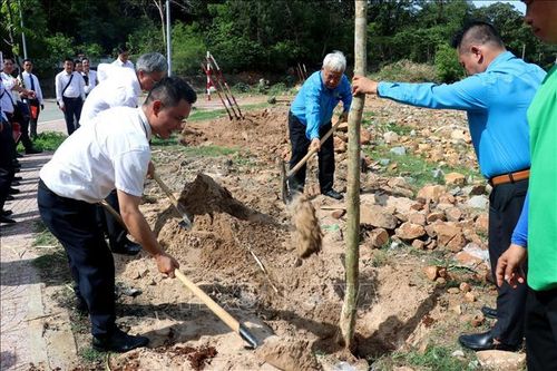 Ông Võ Khắc Thái, Phó Chủ tịch thường trực LĐLĐ TP. Hồ Chí Minh cùng các đảng viên trẻ thực hiện nghi thức trồng cây tại công trình “Vườn cây Đại đoàn kết” nhân Ngày sinh Chủ tịch Hồ Chí Minh (19/5) ở Côn Đảo.