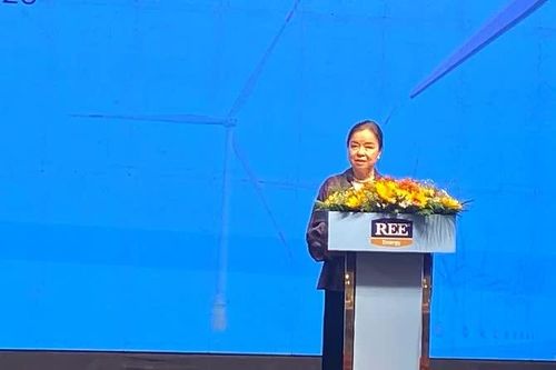 Bà Nguyễn Thị Mai Thanh - Chủ tịch HĐQT Công ty cổ phần Cơ điện lạnh (REE), kiêm Chủ tịch Công ty TNHH Năng lượng REE phát biểu tại lễ khởi công.