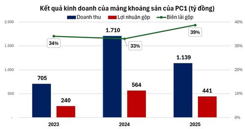 Nguồn: Báo cáo tài chính.
