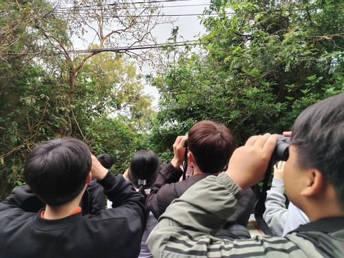 Các bạn trẻ quan sát loài Voọc chà vá chân nâu. Ảnh: MẾN NGUYỄN