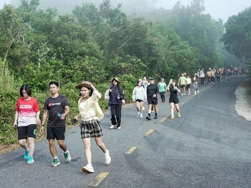 Du khách tham gia trải nghiệm hoạt động đi bộ vì môi trường “Bước chân xanh - Son Tra Walking Day 2026” tại bán đảo Sơn Trà. Ảnh: N.H
