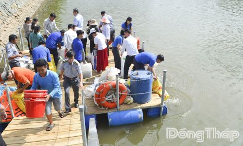 Đông đảo đại biểu, tăng ni, phật tử và người dân tham gia thả cá tái tạo nguồn lợi thủy sản, góp phần bảo vệ đa dạng sinh học và môi trường sinh thái.