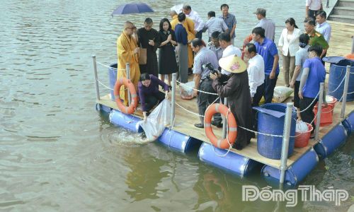 Lãnh đạo Sở Nông nghiệp và Môi trường tỉnh Đồng Tháp thả cá tái tạo nguồn lợi thủy sản.