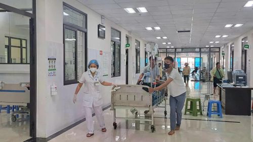 Người dân cần đưa ngay người có triệu chứng ngộ độc nấm đến cơ sở y tế để được điều trị kịp thời.
