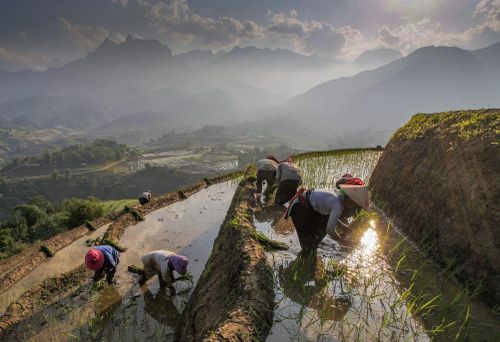 Bà con vùng cao Dền Sáng bước vào mùa cấy, đây là vụ mùa quan trọng nhất trong năm.