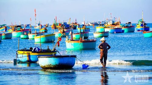 Các tàu, thuyền của làng chài Mũi Né.