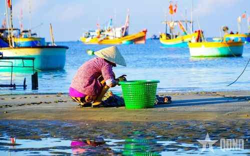 Mưu sinh trên bãi biển.