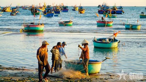 Chuẩn bị lưới trước chuyến đi biển.