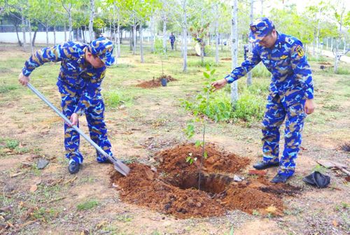 Cán bộ, chiến sĩ Lữ đoàn 681 Vùng 2 Hải quân trồng cây tại đơn vị vào chiều 19/5.