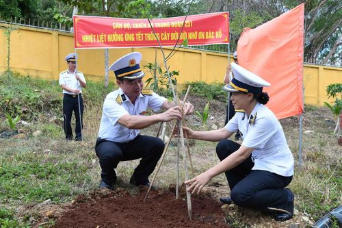 Trung đoàn 251 thực hiện trồng cây tại đơn vị.