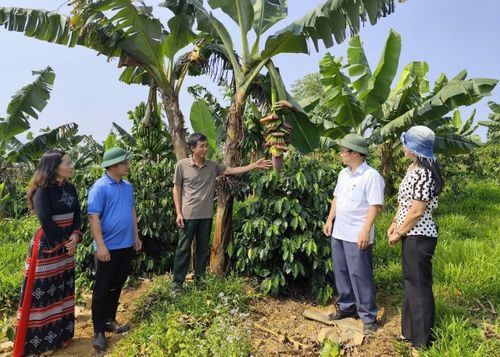Đồng bào Pa Cô ở các xã A Lưới (TP Huế) nỗ lực lao động sản xuất để có cuộc sống ấm no.