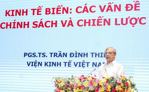 PGS.TS Trần Đình Thiên, nguyên Viện trưởng Viện Kinh tế Việt Nam, chia sẻ tham luận tại hội thảo.
