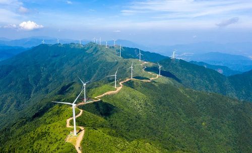 Tín chỉ carbon được ví như “tài sản xanh” giúp doanh nghiệp nâng cao năng lực cạnh tranh. Ảnh: ST