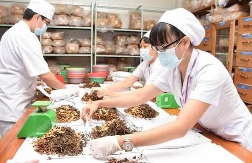 Tiến tới chuẩn hóa hành nghề y học cổ truyền. Ảnh: TL.
