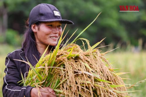Nụ cười hạnh phúc của bà con dân bản khi thu hoạch lúa nước