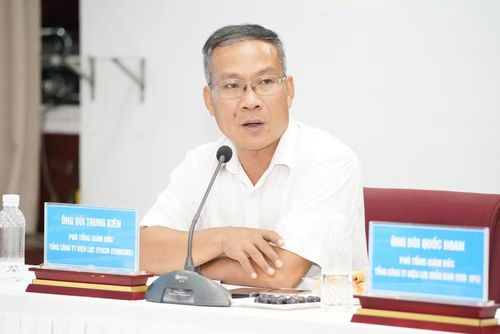 Phó Tổng Giám đốc Tổng công ty Điện lực Thành phố Hồ Chí Minh Bùi Trung Kiên phát biểu ý kiến tại tọa đàm. (Ảnh: THUẬN VĂN)