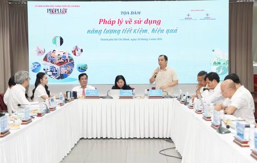 Đại diện Tập đoàn Điện lực Việt Nam chia sẻ tại chương trình.