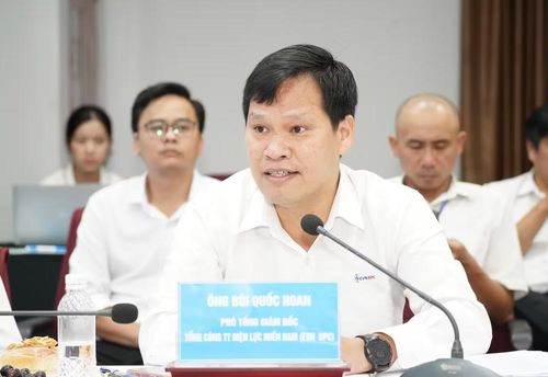 Phó Tổng Giám đốc Tổng công ty Điện lực miền nam (EVNSPC) Bùi Quốc Hoan phát biểu ý kiến tại tọa đàm. (Ảnh: THUẬN VĂN)