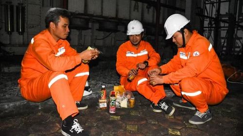 Bữa ăn vội tại hiện trường của các thí nghiệm viên.