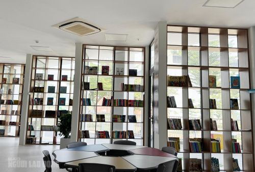 Kệ sách được bố trí ở khu vực có ánh sáng tự nhiên