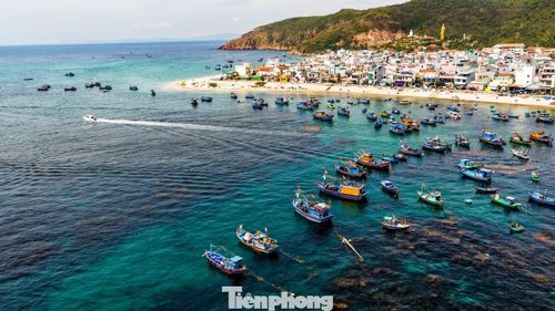 Làng chài Nhơn Hải với đường biển uốn cong, nơi đây từ lâu đã nổi tiếng với bãi biển đẹp, những bãi rạn san hô được bảo tồn còn nguyên vẹn. Vùng biển mang tính đặc trưng về đa dạng sinh học. Mùa rong mơ phát triển cũng là điều kiện thuận lợi cho các loài thủy sản làm nơi trú ngụ và sinh sản.