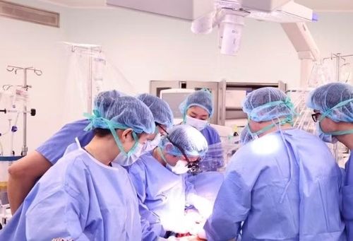 Các bác sĩ Việt Nam làm chủ kĩ thuật ghép tạng.