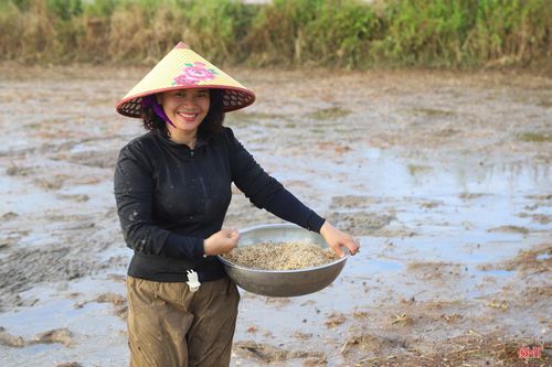 Dù thời tiết oi bức khiến việc làm đất, gieo cấy lúa hè thu thêm phần vất vả, nhưng bà con vẫn tập trung cao để kịp thời vụ và đặt nhiều kỳ vọng vào một vụ mùa thuận lợi, cây lúa sinh trưởng tốt, năng suất cao.