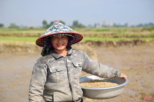  Bà Võ Thị Mận (thôn Liên Mỹ, xã Đông Tiến) cho biết: "Gia đình tôi sản xuất 2 mẫu lúa nên phải tập trung làm sớm thì mới kịp thời vụ được. Tôi ưu tiên lựa chọn các loại giống ngắn ngày, chất lượng tốt, dễ tiêu thụ như BT09, Khang dân 18, Xuân Mai 12...". 