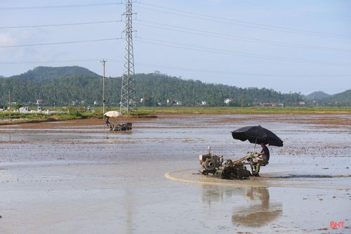 Những cánh đồng rộng lớn, bằng phẳng, đồng bộ về hạ tầng giao thông, kênh mương đã tạo thuận lợi cho việc đẩy mạnh cơ giới hóa, góp phần nâng cao hiệu quả canh tác cho người dân.