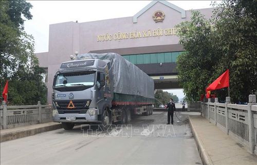 Các xe hàng hóa đi qua Cửa khẩu quốc tế Tà Lùng thực hiện các bước kiểm dịch trước khi qua nước bạn. Ảnh: Chu Hiệu/TTXVN