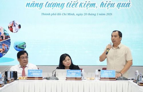 Ông Ngô Sơn Hải, Phó Tổng Giám đốc EVN, phát biểu tại tọa đàm. Ảnh: Thanh Vũ-TTXVN