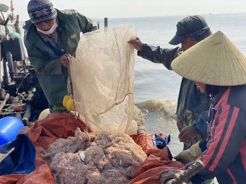 Hải sản tươi ngon được ngư dân xứ Thanh bán ngay tại bãi biển, khi vừa cập bến sau chuyến ra khơi.