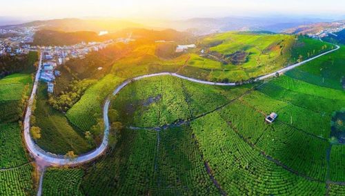 Lâm Đồng được xem là địa phương có nhiều điều kiện thuận lợi để phát triển du lịch liên kết vùng.
