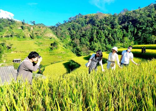 Chương trình liên kết hợp tác phát triển du lịch các tỉnh Tây Bắc mở rộng và TP.HCM giai đoạn 2026 - 2030 vừa được triển khai.