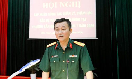 Đại tá Lê Mạnh Hùng phát biểu tại hội nghị tập huấn.