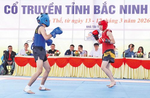 Giải võ cổ truyền trong khuôn khổ Đại hội Thể dục thể thao tỉnh tổ chức ở Khu di tích lịch sử Hoàng Hoa Thám. Ảnh: Thu Thủy.
