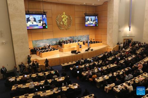 Khóa họp lần thứ 79 của Đại hội đồng Y tế Thế giới (WHA-79) tại Geneva, Thụy Sĩ. Ảnh: Tân Hoa xã