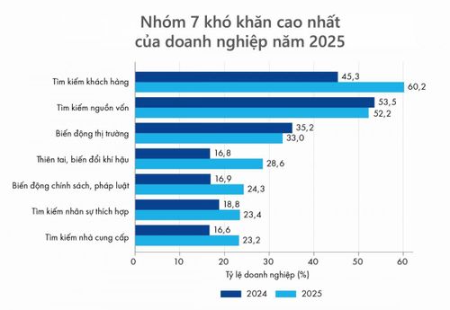 Khảo sát PCI 2025 của VCCI